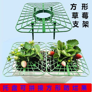 草莓立体栽培架种植托架方形盆栽培草莓托盘架支架防烂水培草莓架