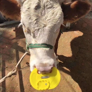 牛犊断奶神器小牛戒奶器忌奶器加大弹簧牛鼻刺牛鼻环犊牛隔奶器