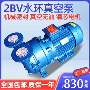 水环式真空泵工业用水循环2bv抽真空泵不锈钢大功率真空泵抽气泵