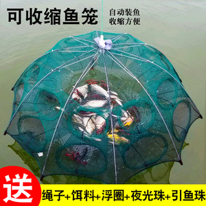 虾笼捕鱼笼捞鱼网扑虾网渔网捉蟹笼网笼自动折叠伞笼抓虾神器工具