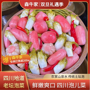 森牛家农家正宗四川传统老坛子泡菜红萝卜仔姜豇豆开胃母水泡儿菜