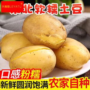 2023新土豆东北土豆农家自种马铃薯面土豆黄心黄麻子土豆包邮