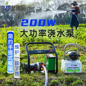 抽水泵浇菜12v农用灌溉高扬程浇地自吸直流家用高压电动浇水神器
