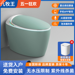 家用蛋形彩色智能马桶一体式坐便器无水压语言自动翻盖即热座便器