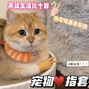 猫咪小手指套趣味玩具撸猫逗猫橡胶硅胶弹性小手搞怪恶搞玩具好玩