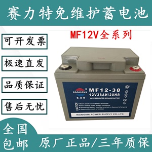 赛力特蓄电池MF12-38直流屏12V38Ah24ah50ah65ah100ah应急UPS电瓶