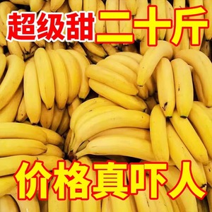 高山甜香蕉9斤新鲜水果当季现摘大芭蕉小米蕉甜香蕉整箱自然熟10
