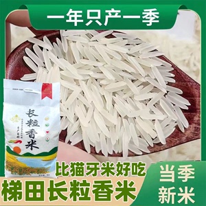 2023新米贵州梯田长粒香米农家大米不抛光不打蜡自种软米5斤10斤