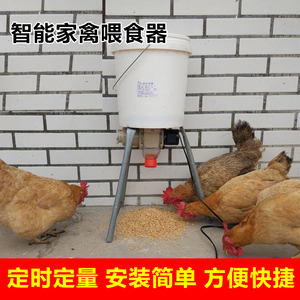 养鸡自动喂食器鸽子饲料定时下料器全自动喂鸭食槽家禽养殖投料机