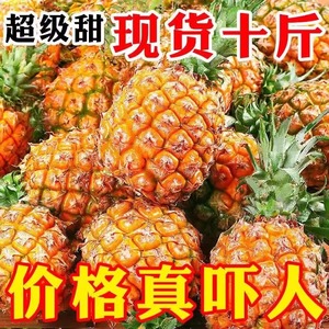 金钻凤梨新鲜水果10斤当季粉色风梨非海南香水菠萝大果无眼整箱