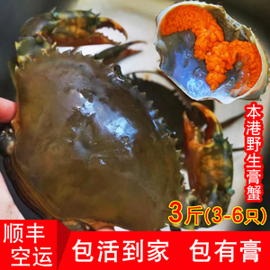 鲜活青蟹特大红膏蟹野生红鲟3斤6只全母蟹礼盒装送礼螃蟹包活到家