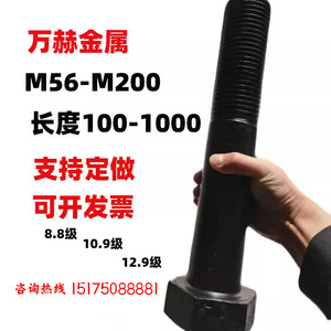 外六角螺栓特大加长高强度螺丝M48M52M56M60M64M68M72M76M80M100
