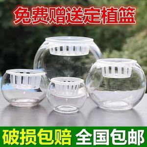 创意水培植物塑料花瓶透明水养绿萝花盆容器插花瓶圆球形鱼缸器皿