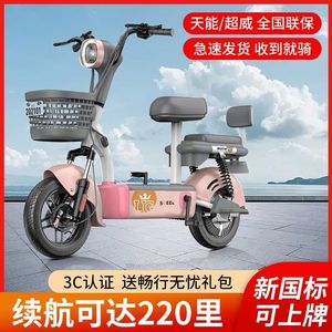 雅迪2024新款电动车时尚小型新国标可上牌电动自行车电瓶48锂电女