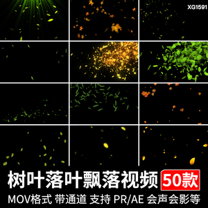 树叶飘落叶清新绿叶子秋天枫叶特效动态MOV透明通道pr/ae视频素材