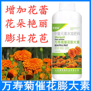 菊花盆栽营养液万寿菊专用叶面肥室内植物营养花卉肥料延长采收期