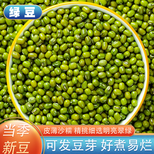 绿豆5斤云南农家绿小豆新鲜发豆芽皮薄出沙煲粥煲汤糕点原料
