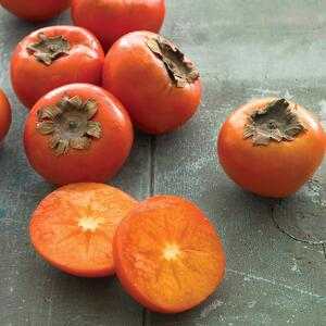 太秋柿子苗 太秋柿子苗品牌 价格 阿里巴巴