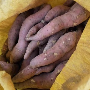 新鲜农家自种四季香番薯红薯板栗薯栗子薯黄心地瓜香粉糯茂名特产
