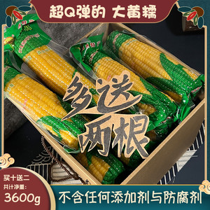 山西忻州青玉甜糯玉米当季新鲜真空营养低脂代餐无添加黄糯十送二