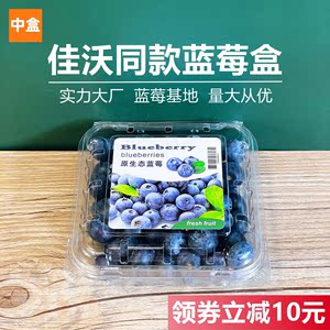 125g克蓝莓盒子树莓打包盒加厚透明塑料贴纸透气一次性蓝莓包装盒