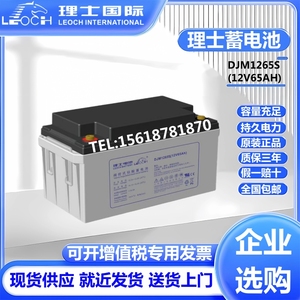 理士铅酸蓄电池DJM1265S免维护12V65AH直流屏UPS电源太阳能发电厂