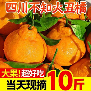 四川不知火丑橘大果新鲜橘子当季水果桔子柑橘子10斤柑橘可选顺丰