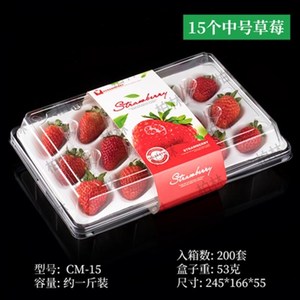 草莓盒子包装盒一次性草莓打包盒透明带托塑料盒子泡沫水果保鲜盒