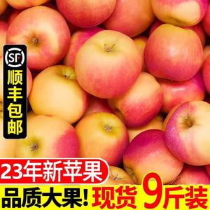 新嘎啦苹果5斤嘎拉果嗄啦噶啦孕妇水果脆甜可口非冰糖心红富土果