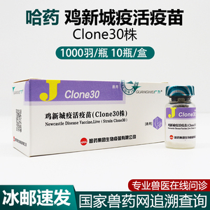 鸡用禽类疫苗哈药集团鸡新城疫Clone30株C30活疫苗克隆30鸡疫苗