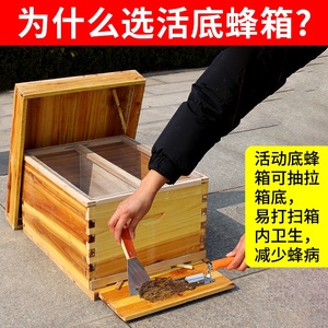 蜜蜂诱蜂箱大大隔板七框养的中标准42五层十框杉木盖板中蜂意全套