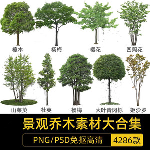 PS景观开花乔木常绿大树色叶树植物PNG免抠效果图PSD绿植高清素材