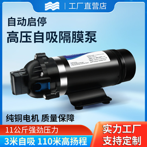 增压泵加压12V220V自吸高扬程喷雾器微小型直流高压雾化隔膜水泵