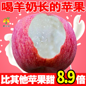 正宗羊奶苹果新鲜水果当季整箱红富士冰糖心时令丑苹果