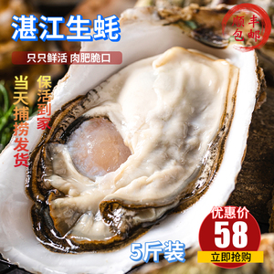湛江生蚝鲜活广东新鲜海鲜水产特大带壳牡蛎保活净重5斤顺丰包邮