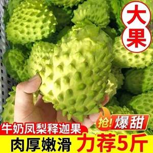 牛奶新鲜释迦果大果5斤当季热带水果番荔枝佛头水果1斤非台湾