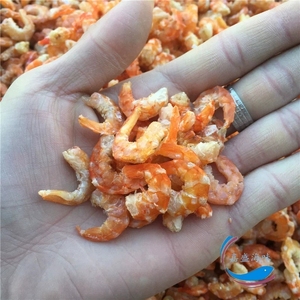 汕尾甲子港特产即食海虾仁淡干虾米海米水产海鲜干货天然晒干500g