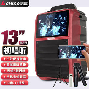 志高（CHIGO）广场舞音响大音量户外直播视频跳舞机k歌音箱带显示