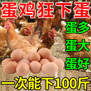 下蛋鸡饲料产蛋灵蛋多多增蛋宝兽用母鸡鸭鹅鸽子鹌鹑生蛋专用饲料
