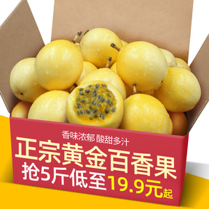 广西钦蜜9号黄金百香果新鲜大果5斤黄色原浆水果应季当季整箱包邮