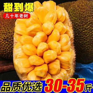 现摘海南菠萝蜜一整个三亚新鲜水果当季黄肉木波罗假榴莲10斤包邮