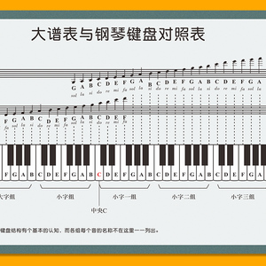 钢琴初学者家用五线谱挂图音符对照表大普表与钢琴键盘图纸贴纸
