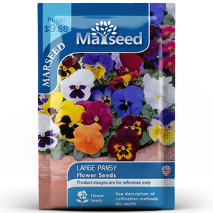 【MARSEED火星家】花园盆栽精巧整包50粒大花三色堇种子籽孑