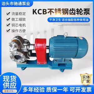 不锈钢齿轮油泵 KCB齿轮泵大流量食用油化工泵