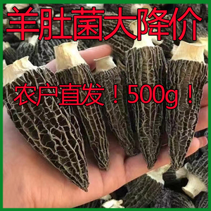 羊肚菌干货500g云南特产野生羊肚菇干特级羊肚蘑菇特价羊肚茵一斤