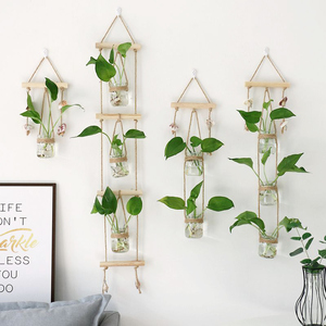 植物壁挂绿萝ins创意水培玻璃花瓶门帘装饰小吊瓶小清新墙面挂饰