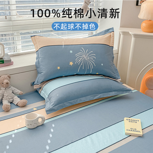 2023年新款品牌全棉枕头枕套纯棉床单加被套单独一个装一对高端