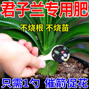 君子兰肥料专用肥防烂根夹箭黄叶病促开花生根壮苗兰花有机颗粒肥