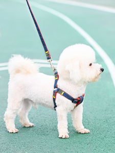 日本进口MUJIE狗狗牵引绳小型犬狗链子狗项圈泰迪遛狗绳宠物用品