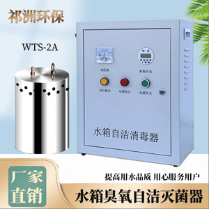 水箱自洁消毒器内置式WTS-2A外置臭氧微电解发生器水处理灭菌设备